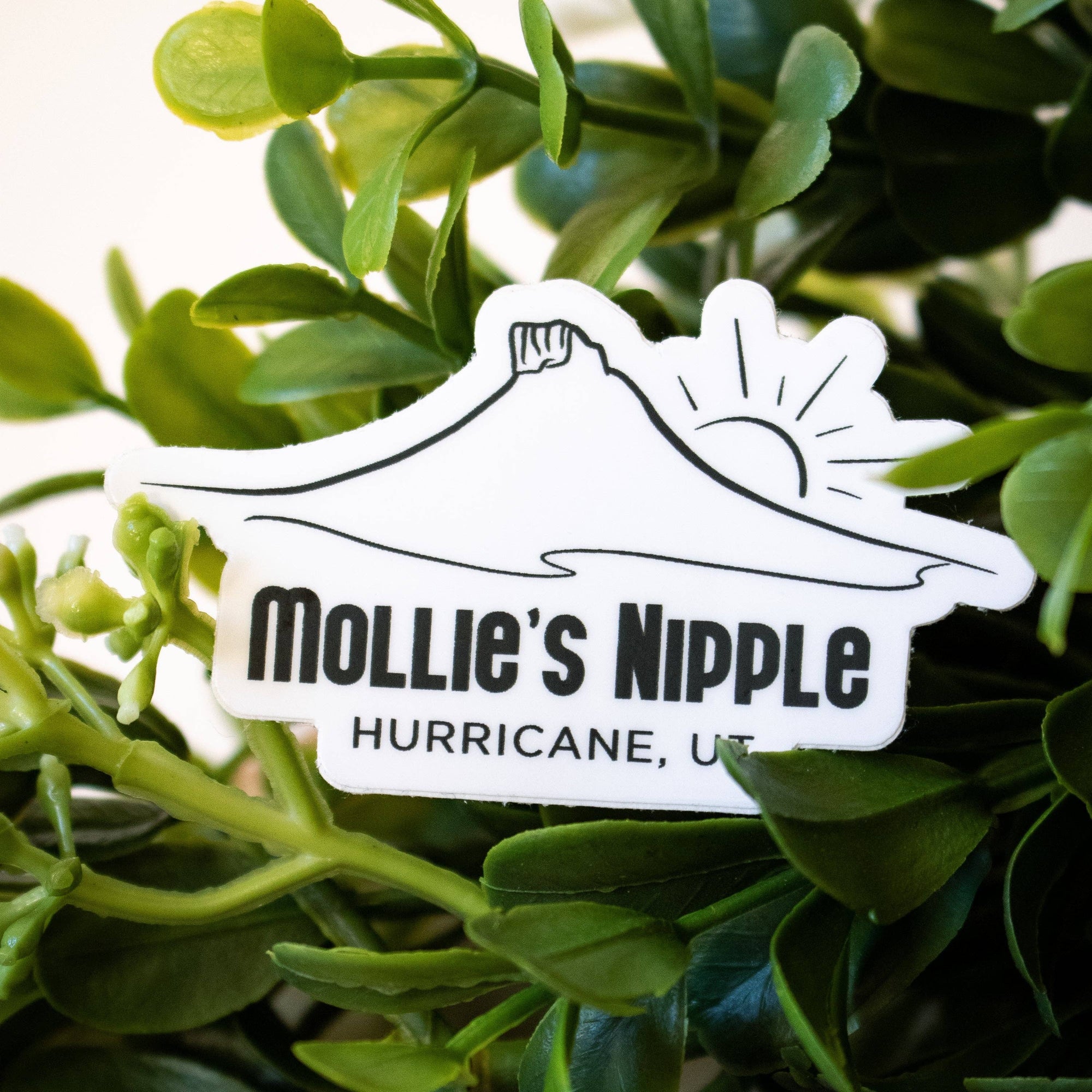 Mollie's Nipple in Hurricane, UT makes me laugh every time I see it. I hope this sticker also makes you laugh when you need a pick me up. This sticker is available in a clear sticker as well.
Size: 2.5" x 1.5"
All of our stickers are made using waterpro