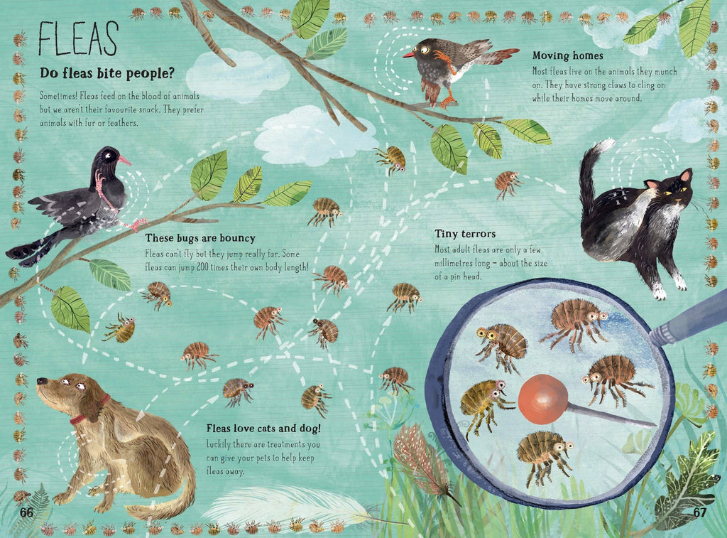 W. W. Norton- The Big Book of Bugs: 10th Anniversary Edition