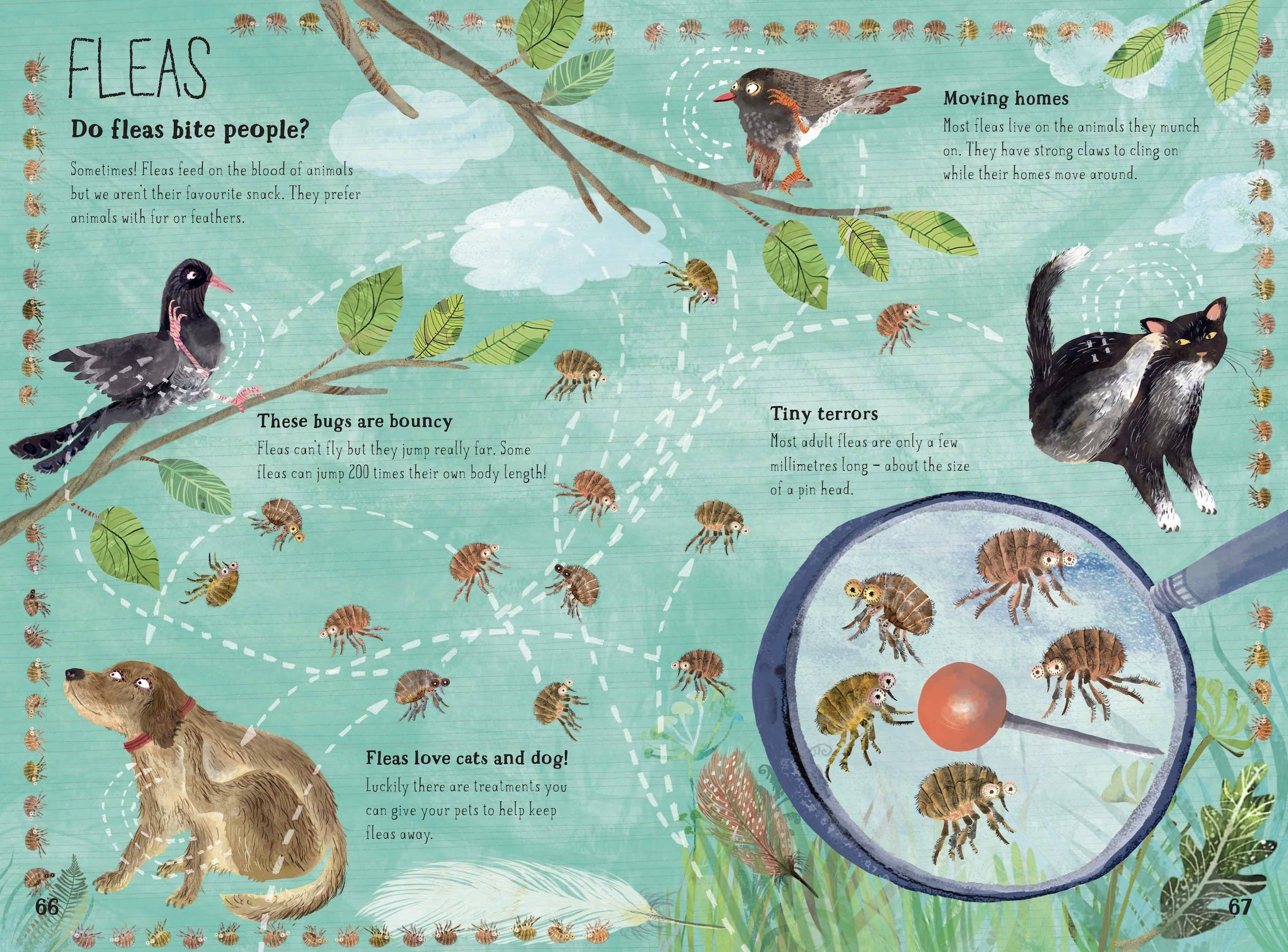 W. W. Norton- The Big Book of Bugs: 10th Anniversary Edition
