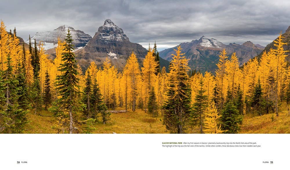 Gibbs Smith- Parklands: America’s National Parks and Public Lands