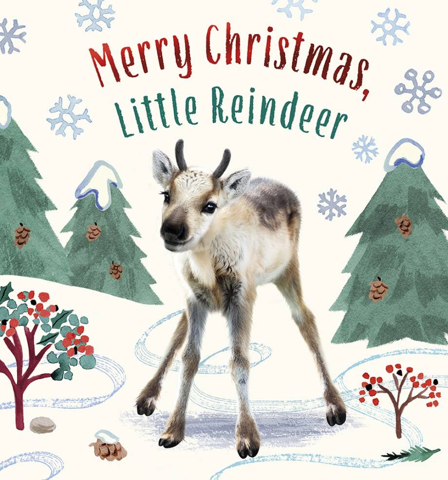 Abrams- Merry Christmas, Little Reindeer
