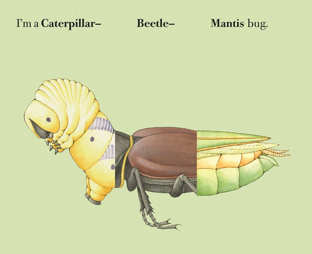 W. W. Norton- Build-A-Bug: Board Book