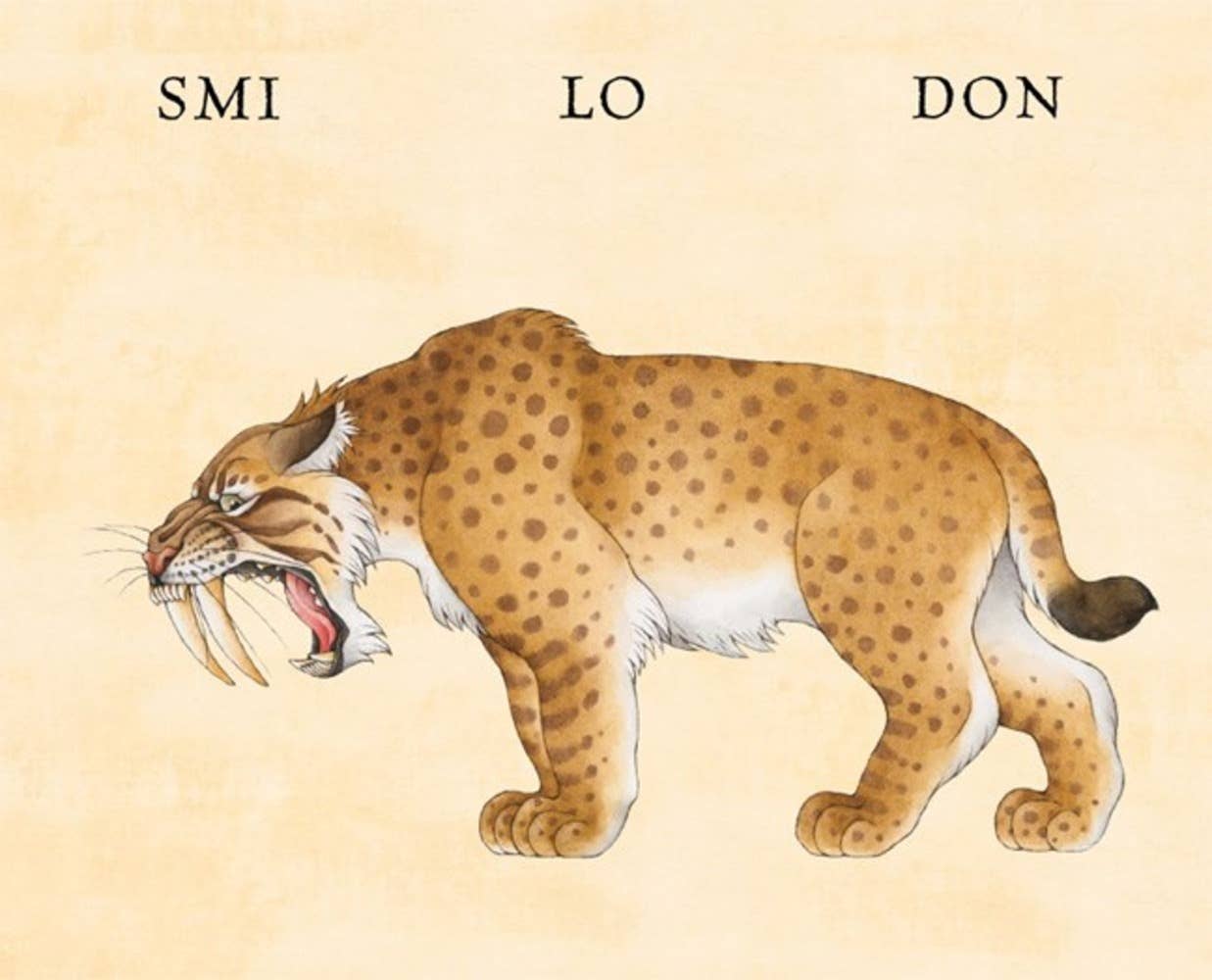 W. W. Norton- Flip-O-Storic