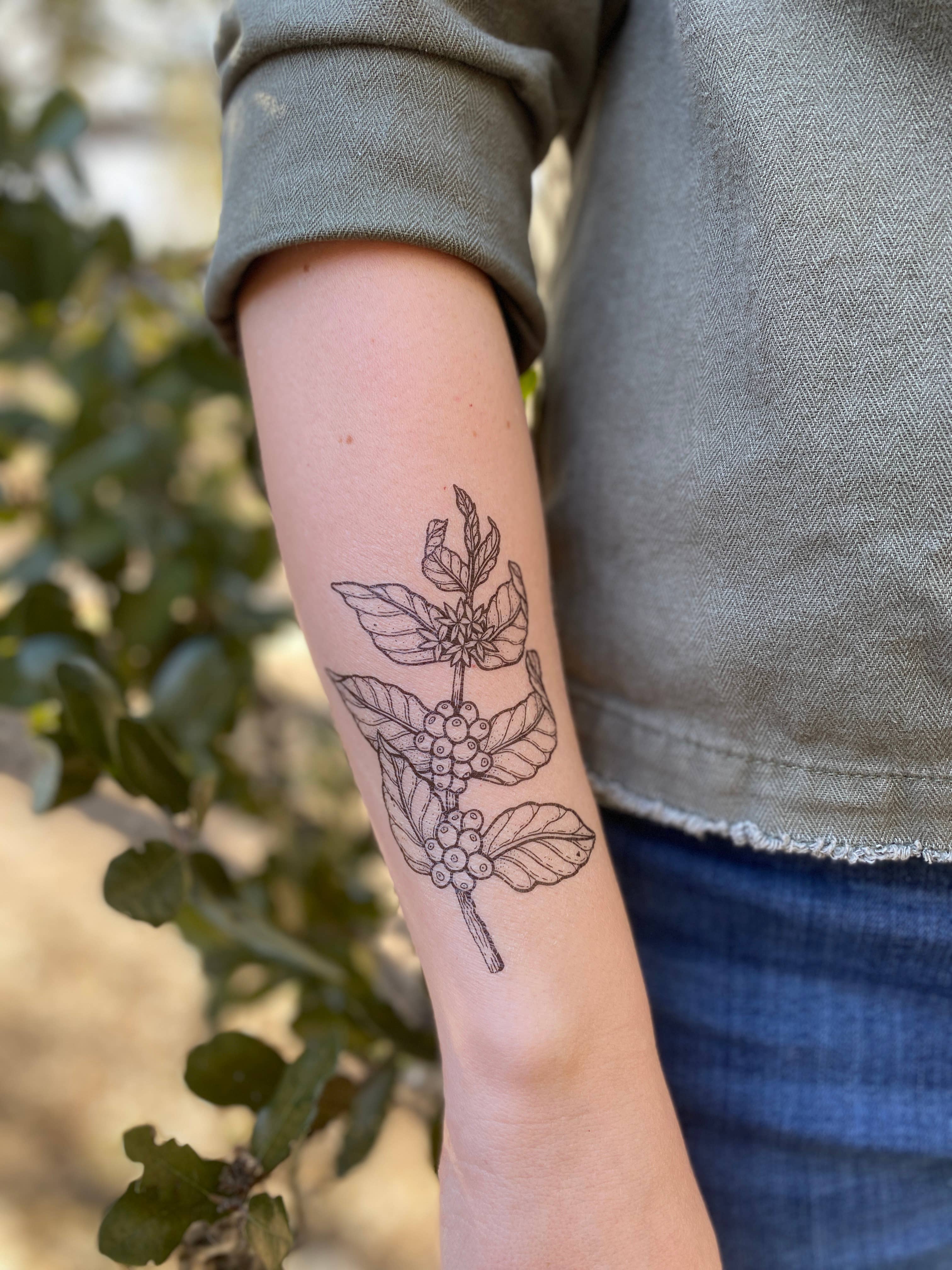 NatureTats- Coffee Plant Temporary Tattoo