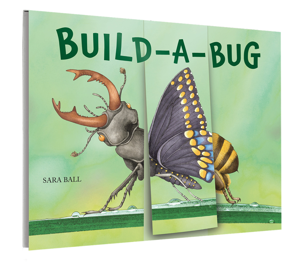 W. W. Norton- Build-A-Bug: Board Book