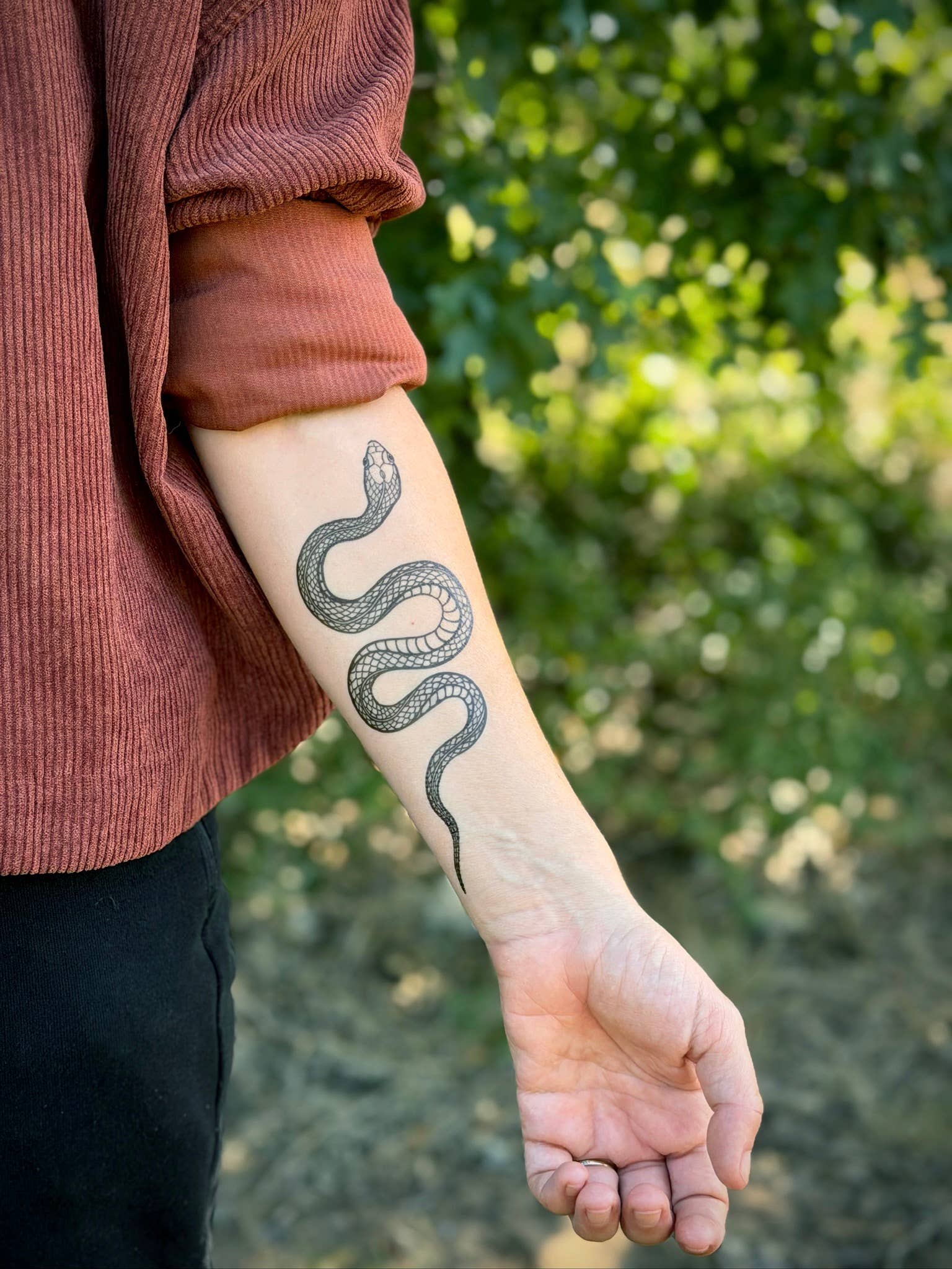 NatureTats- Garden Snake Temporary Tattoo