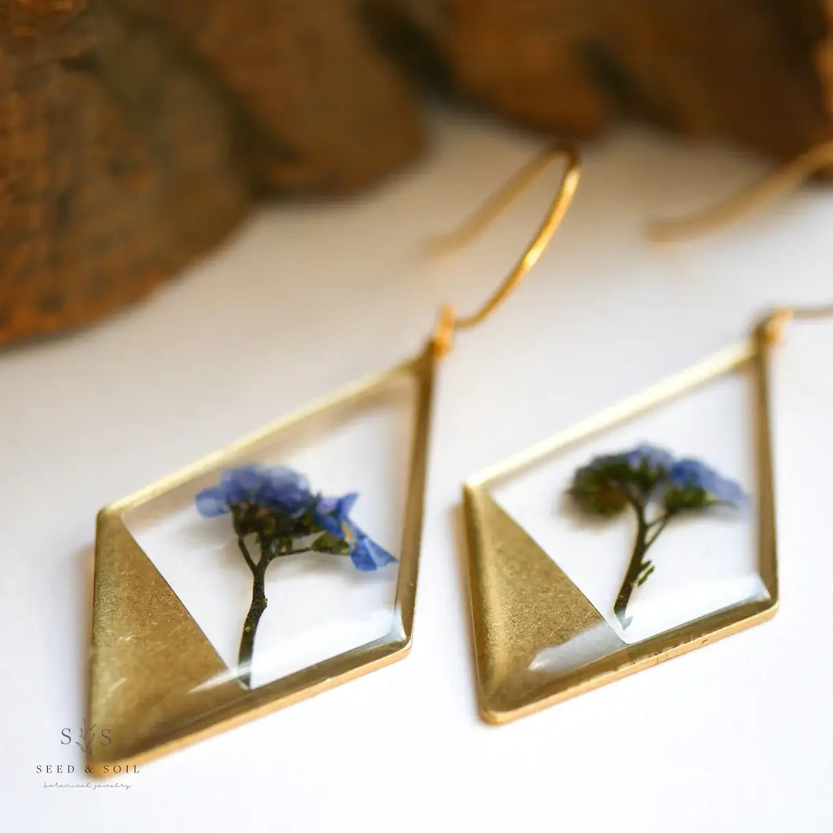 Seed & Soil- Hanging Terrarium Earrings