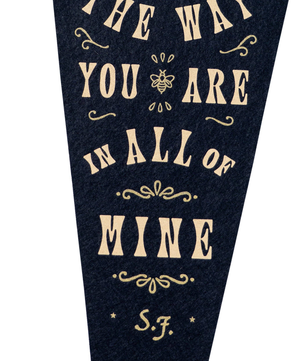 Oxford Pennant- In Dreams Fishtail Pennant • Sierra Ferrell x Oxford Pennant