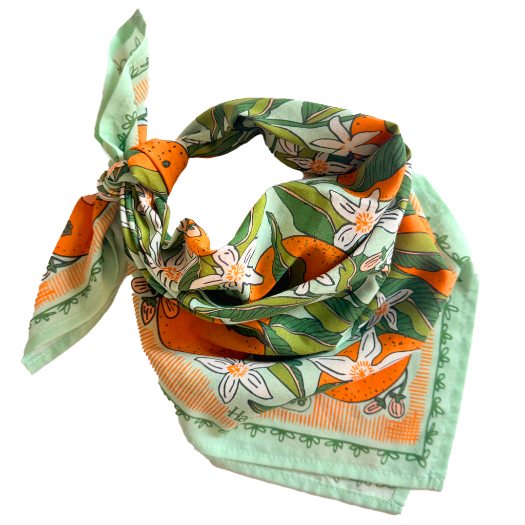 Handker- No. 146 Zoe Bandana