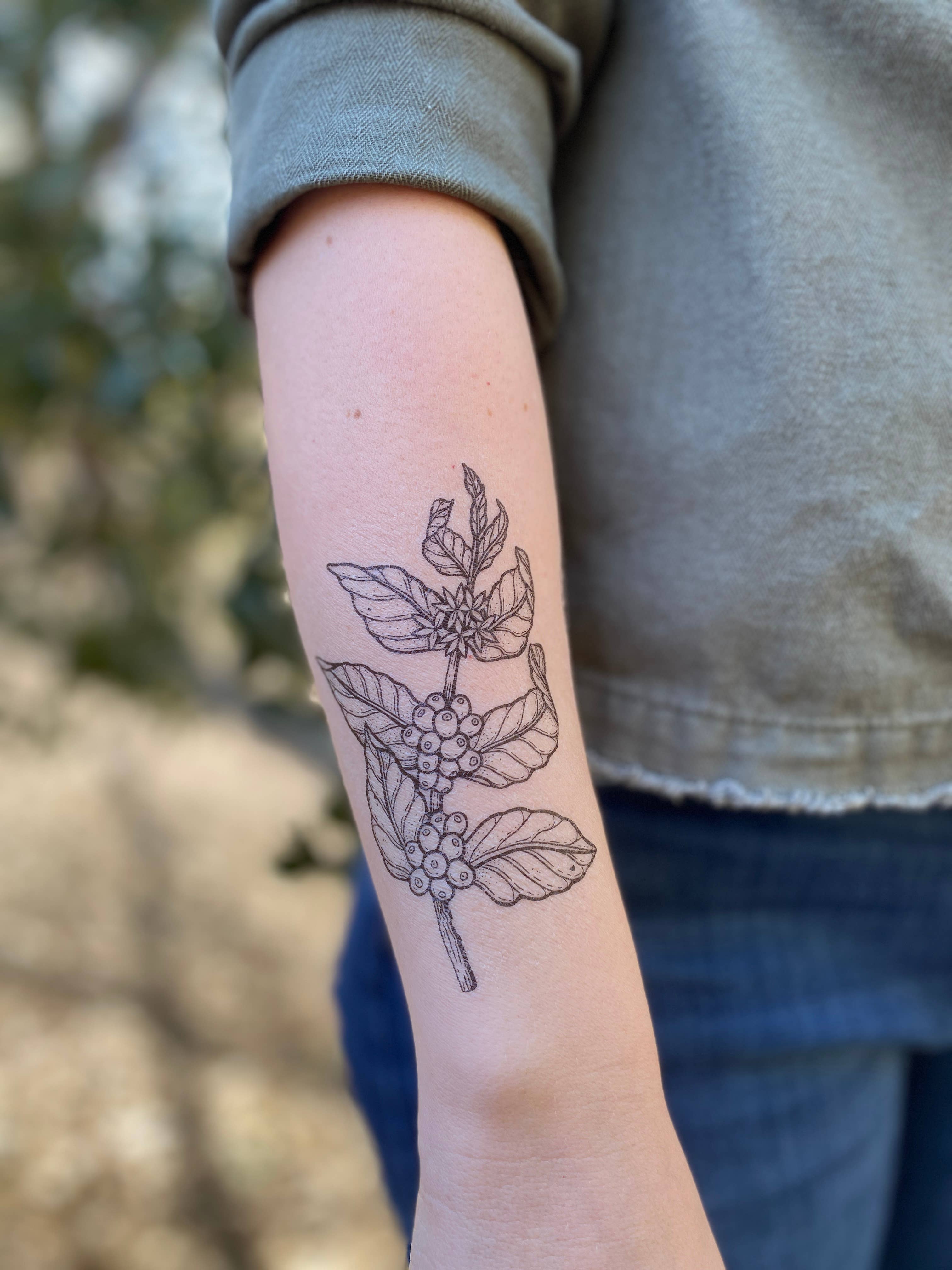 NatureTats- Coffee Plant Temporary Tattoo