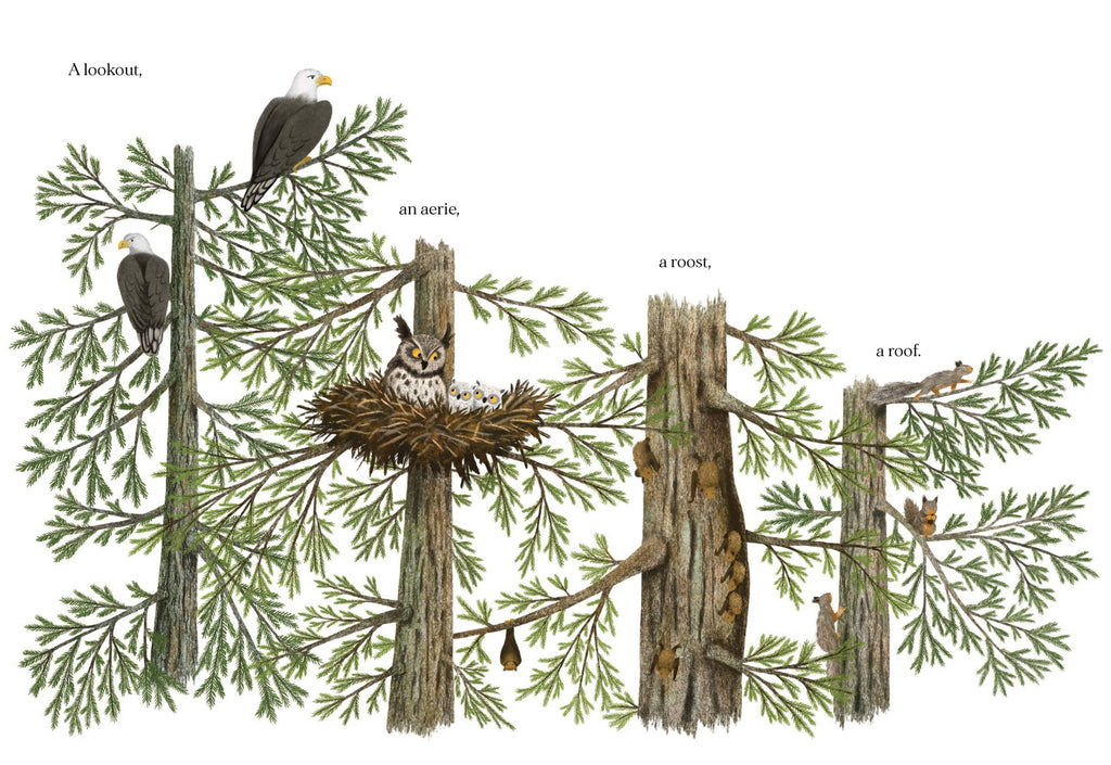 Chronicle Books- When a Tree Falls