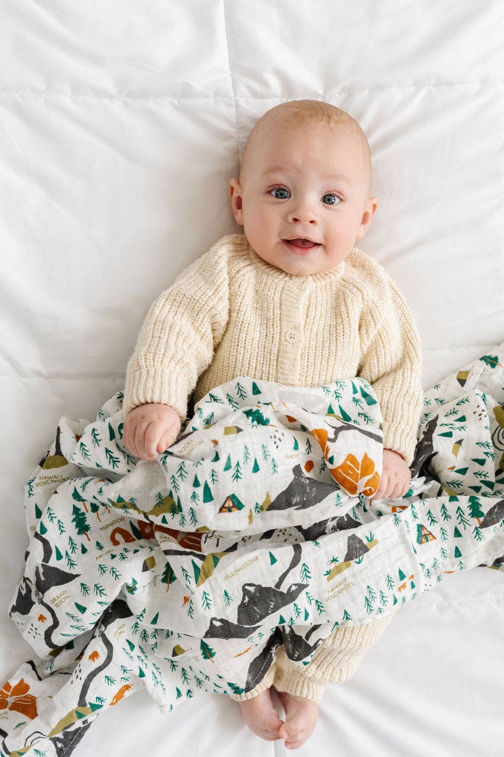 Clementine Kids- National Parks Swaddle (Mini Pattern)