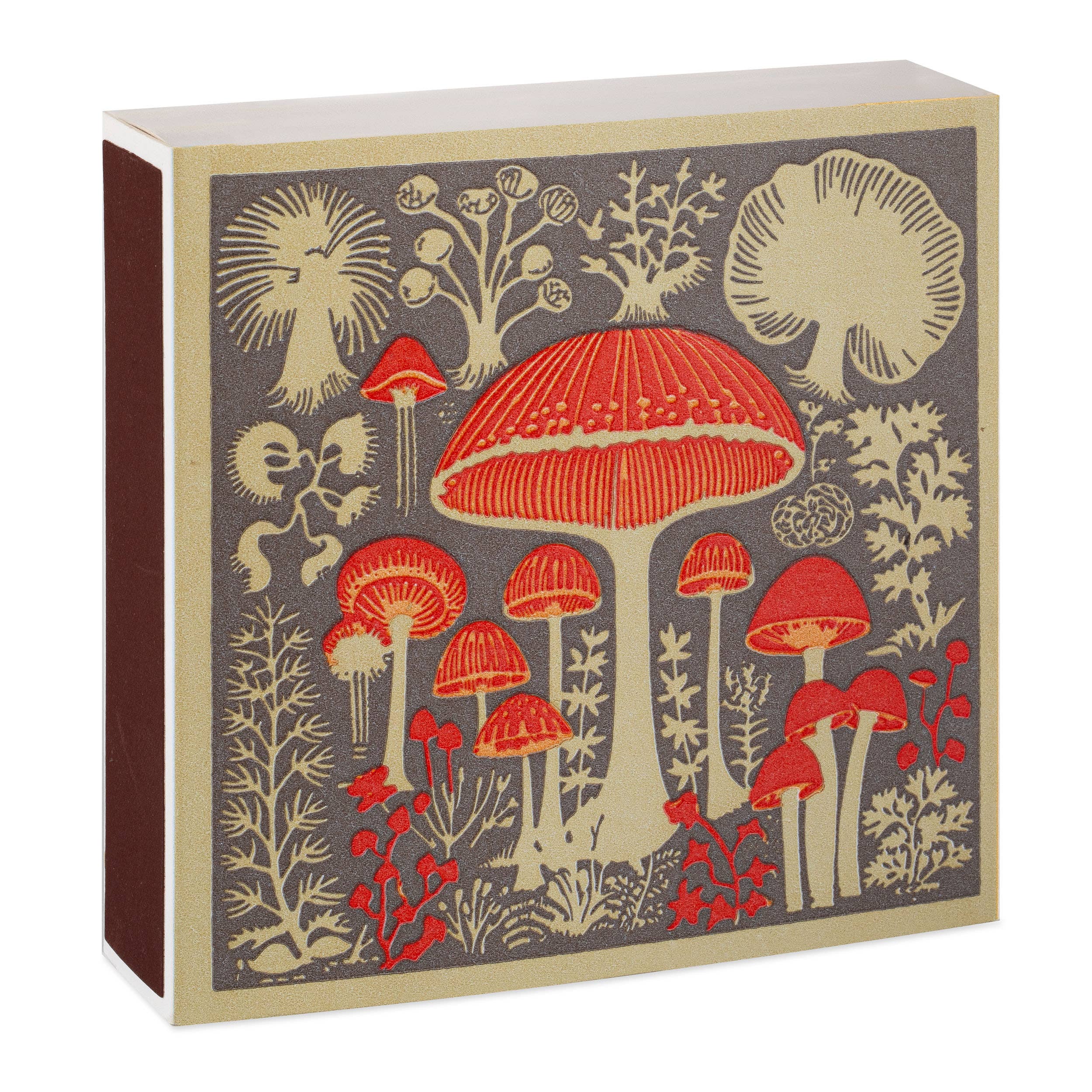Archivist - Mushrooms | Square - Safety Matches