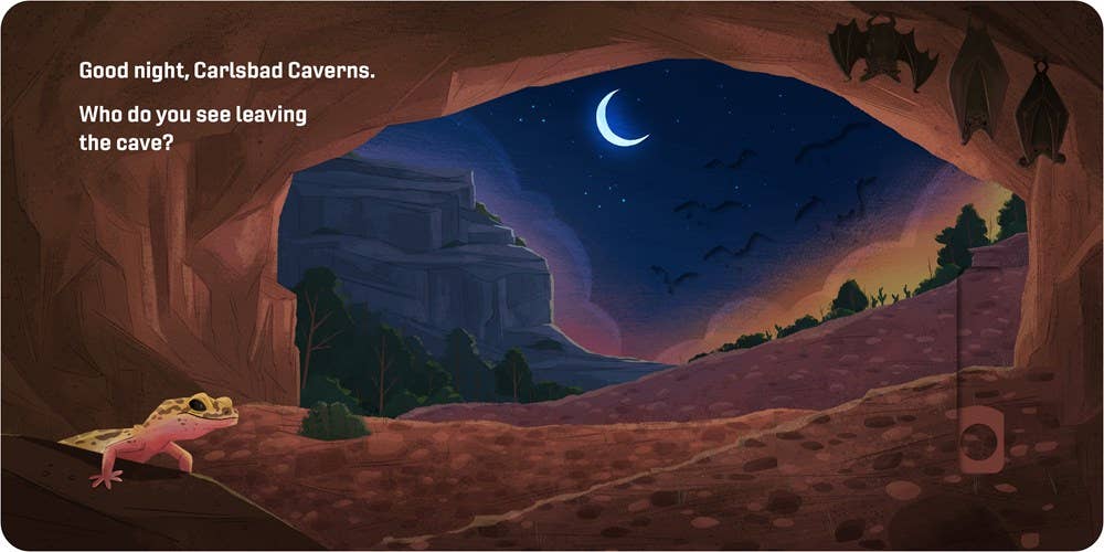 Gibbs Smith- Good Night, National Parks