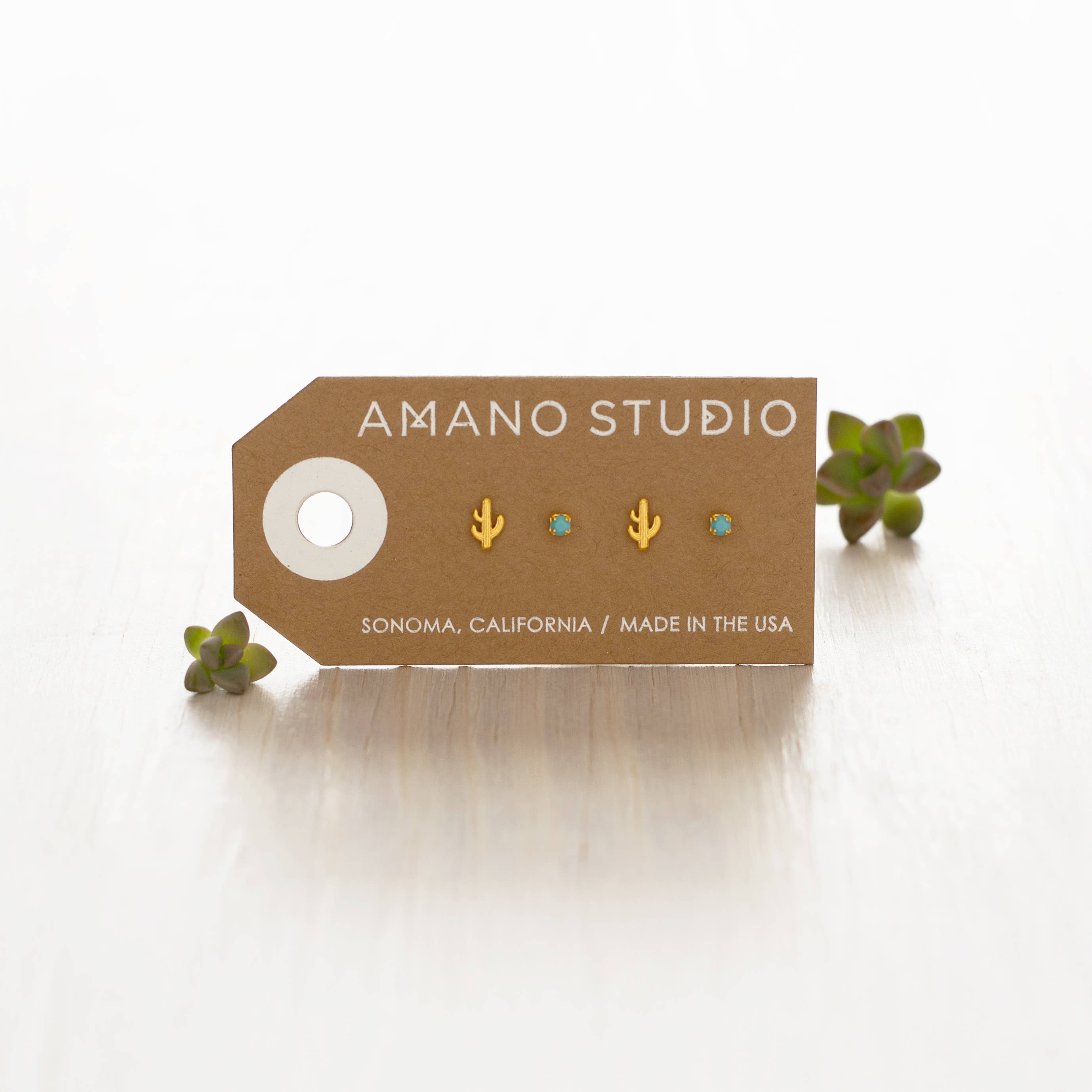 Amano Studio- Cactus + Turquoise Stud Earring Set
