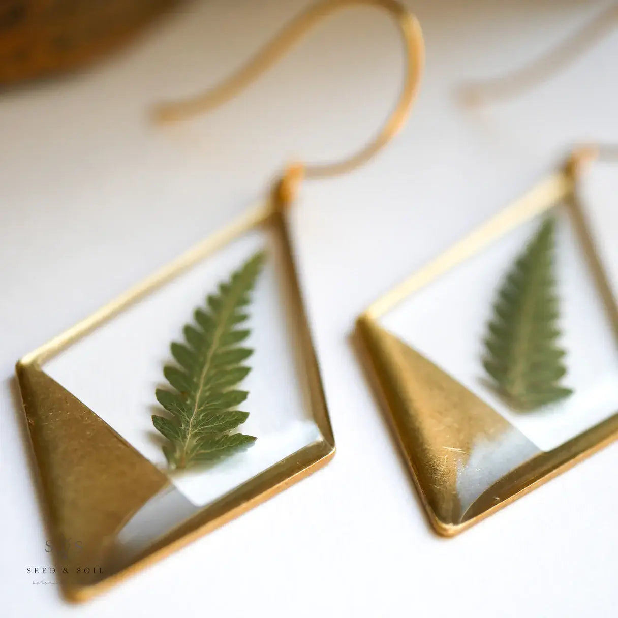 Seed & Soil- Hanging Terrarium Earrings