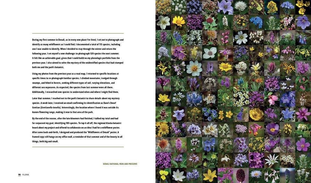 Gibbs Smith- Parklands: America’s National Parks and Public Lands