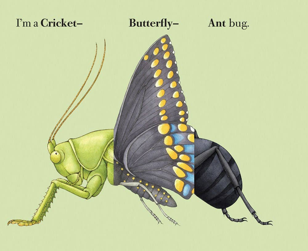 W. W. Norton- Build-A-Bug: Board Book