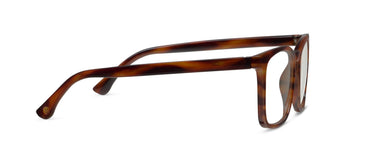 Peepers- Bronco Tortoise Horn