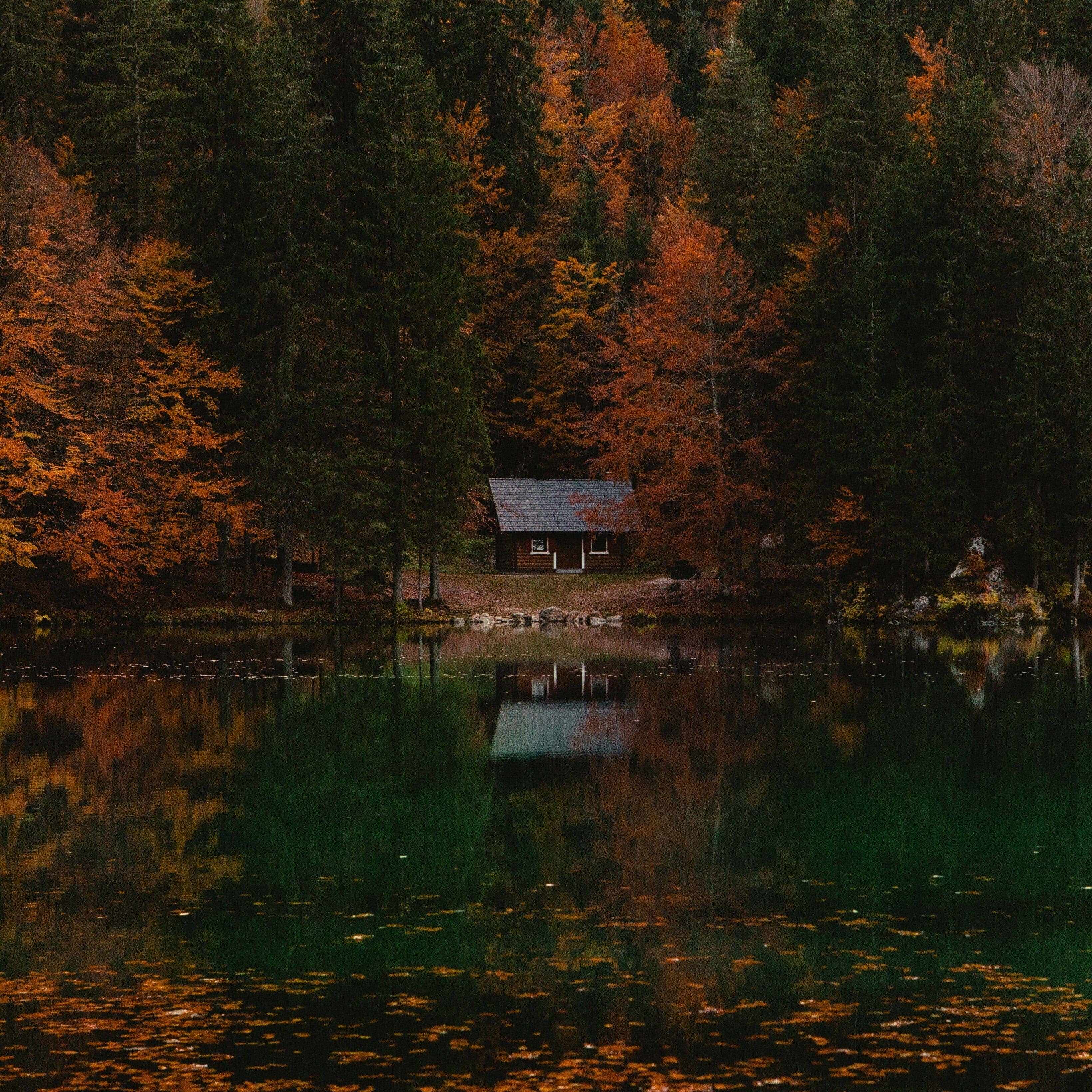 Ranger Station- Anti-Pumpkin Candle 