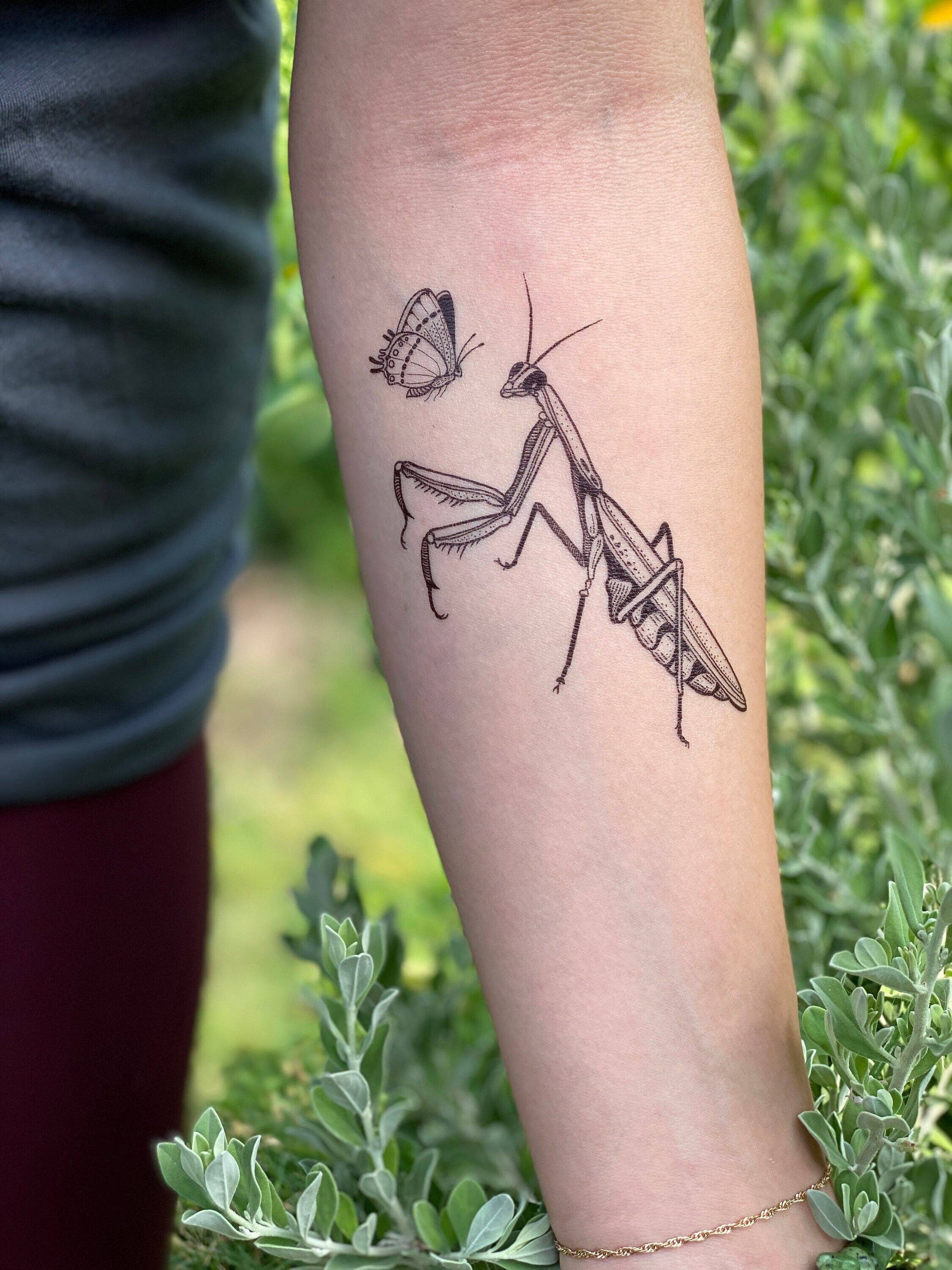 NatureTats- Praying Mantis Temporary Tattoo