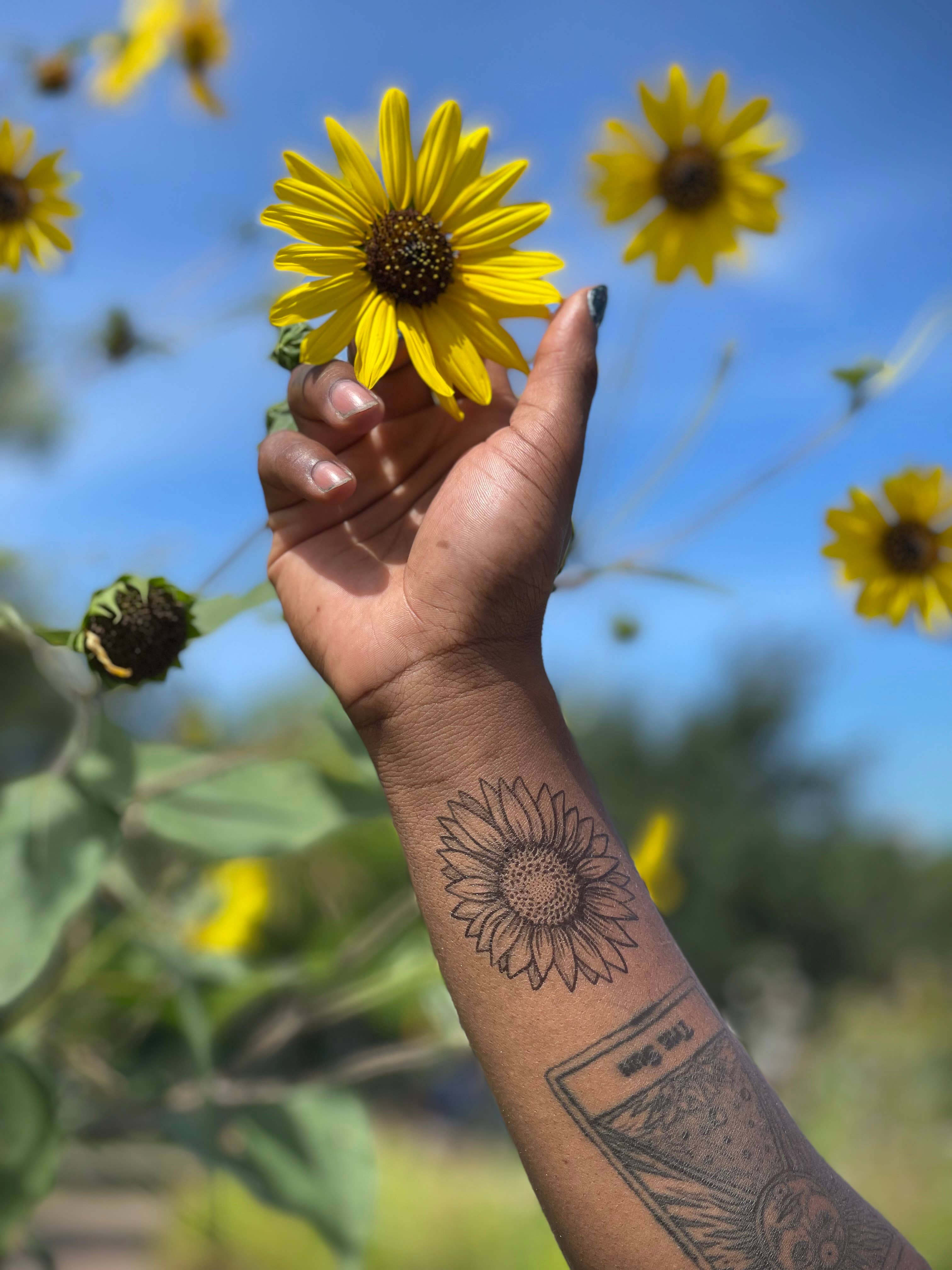 NatureTats- Sunflower Temporary Tattoo