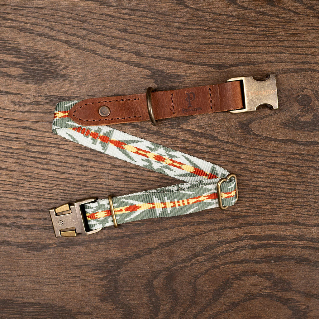 Caroline Pet Company- Pendleton Heritage Dog Collar