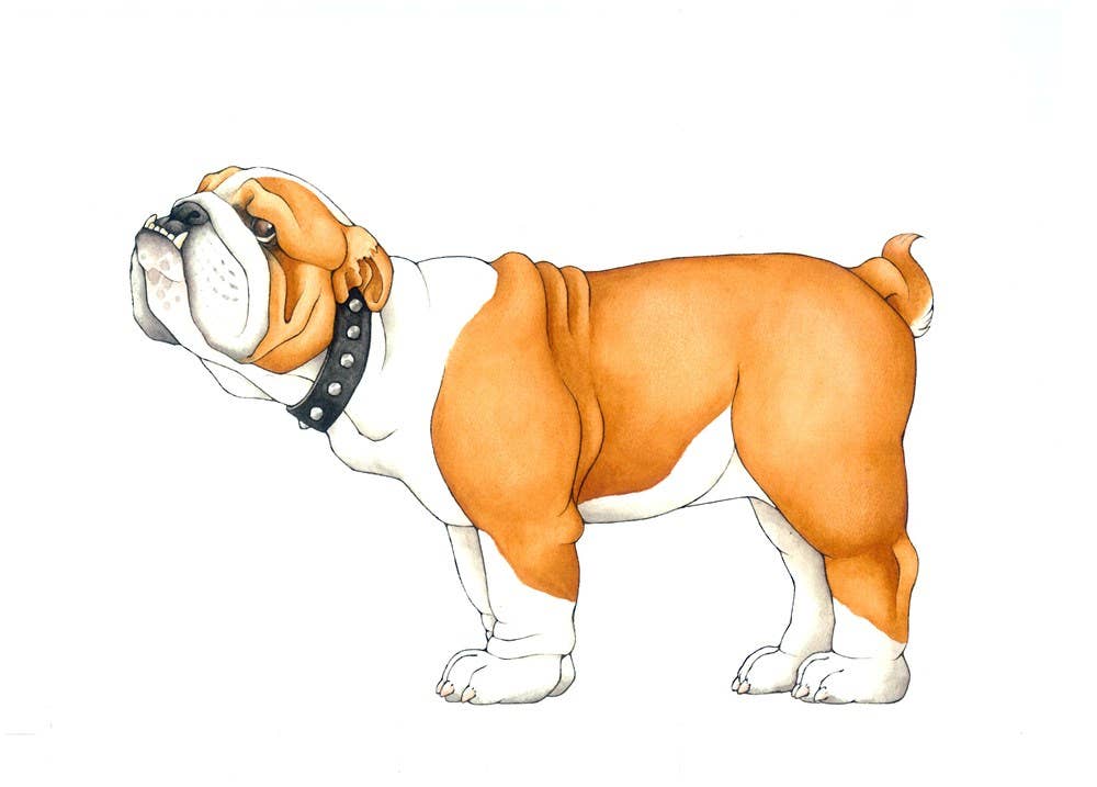 W. W. Norton- Mix-a-Mutt: Make Your Own Wacky Canine!: Board Book