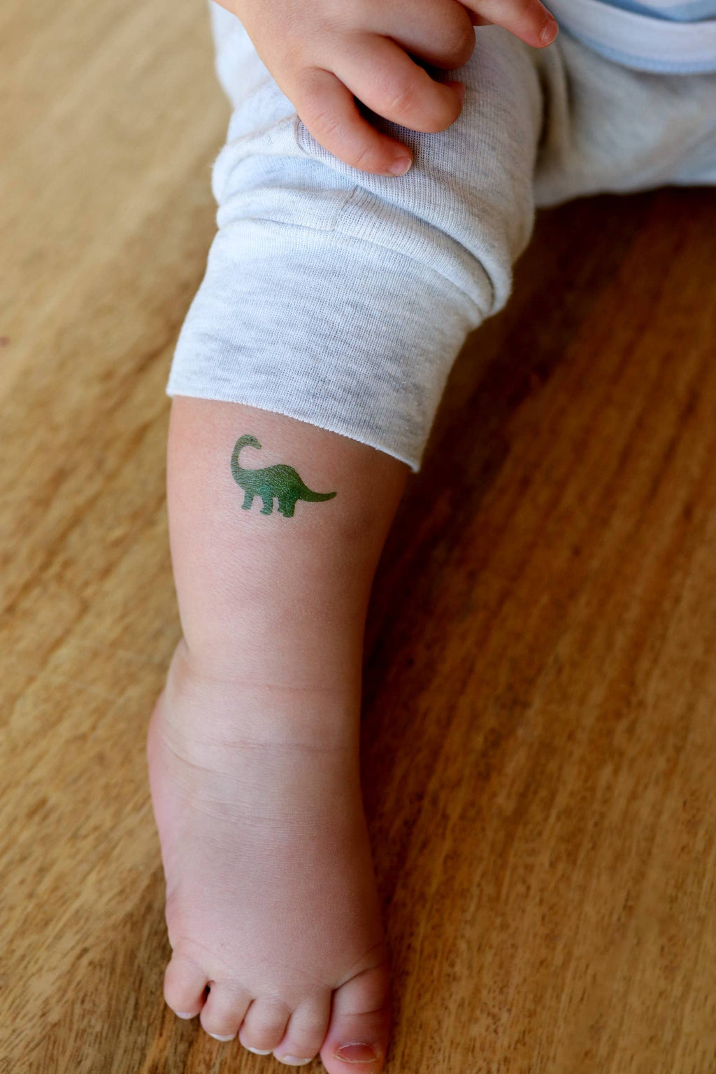 Saint & Company- Dinosaurs Temporary Tattoos