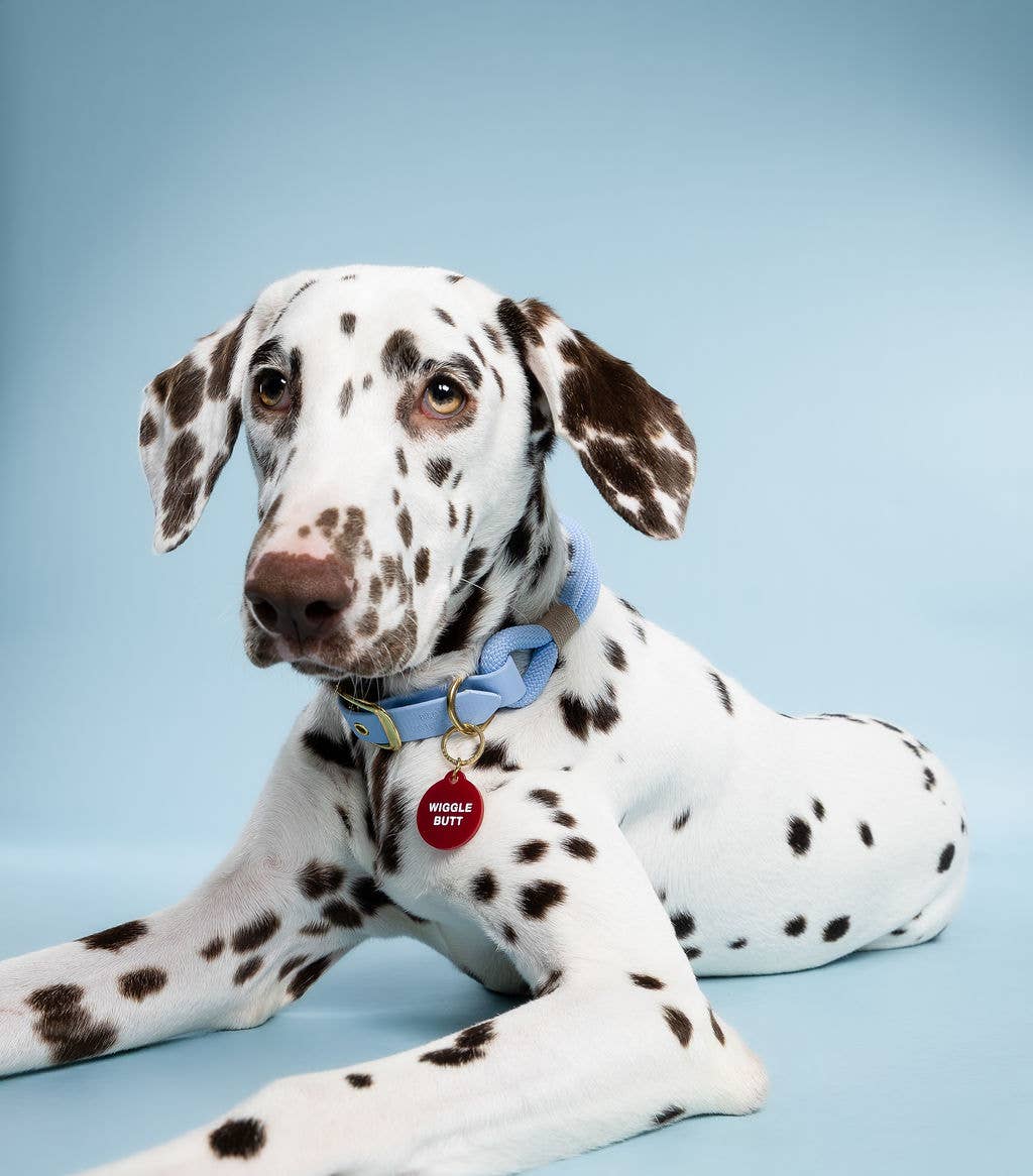 Freshwater Curated Goods- Wiggle Butt Pet Tag
