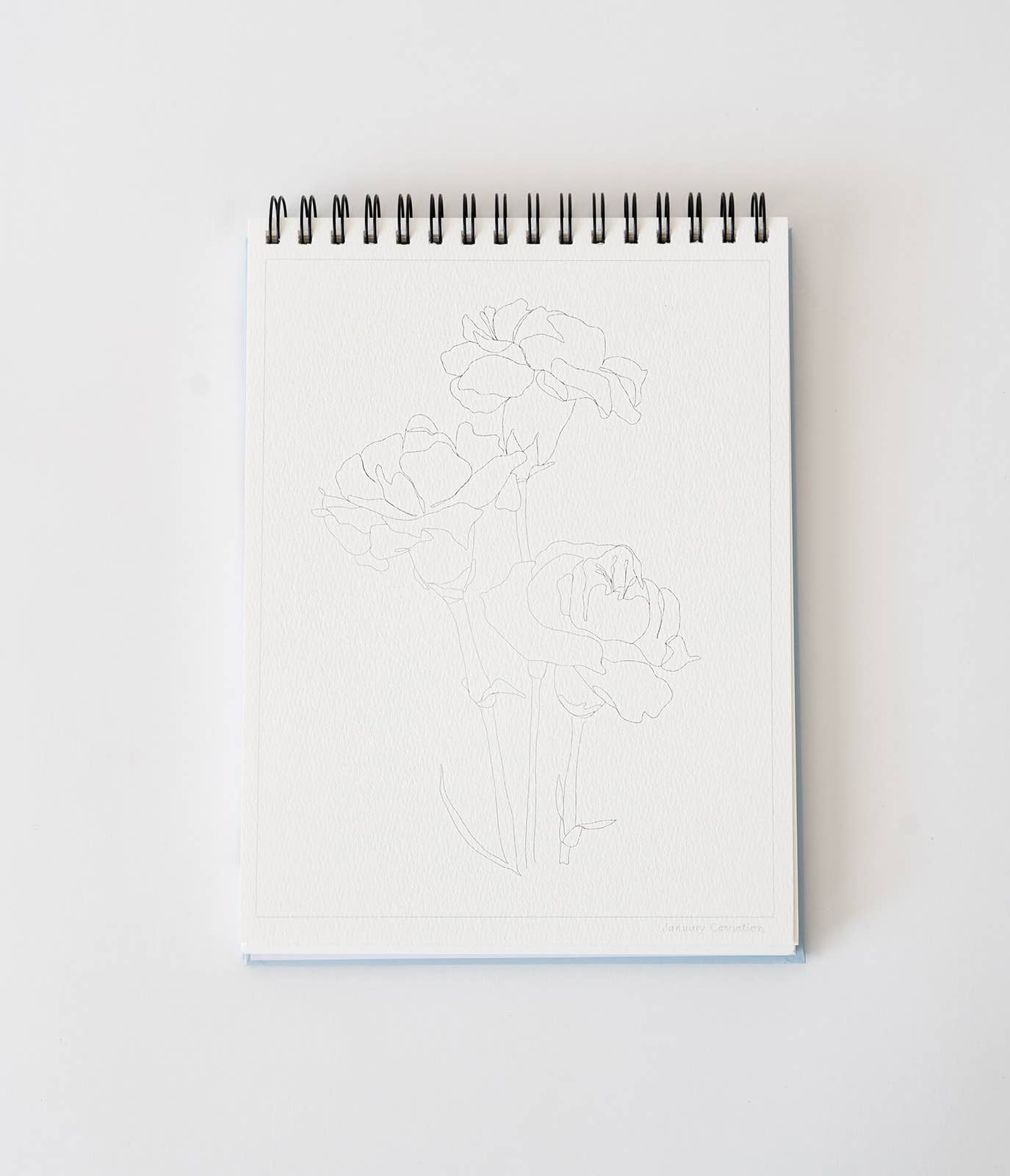 Bailey Rae Studio- Floral Watercoloring Book - Outlines with Video Tutorials