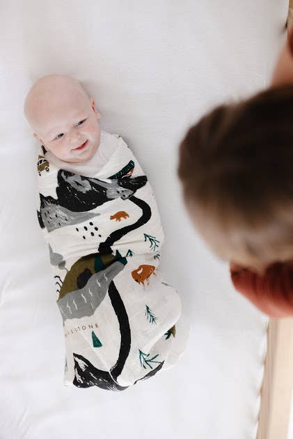 Clementine Kids- National Parks Swaddle