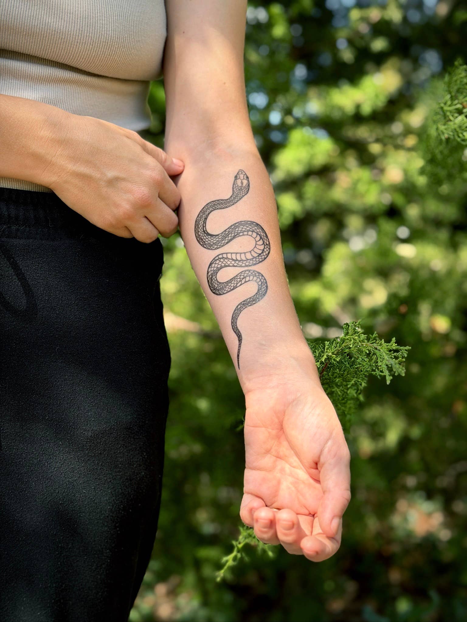 NatureTats- Garden Snake Temporary Tattoo