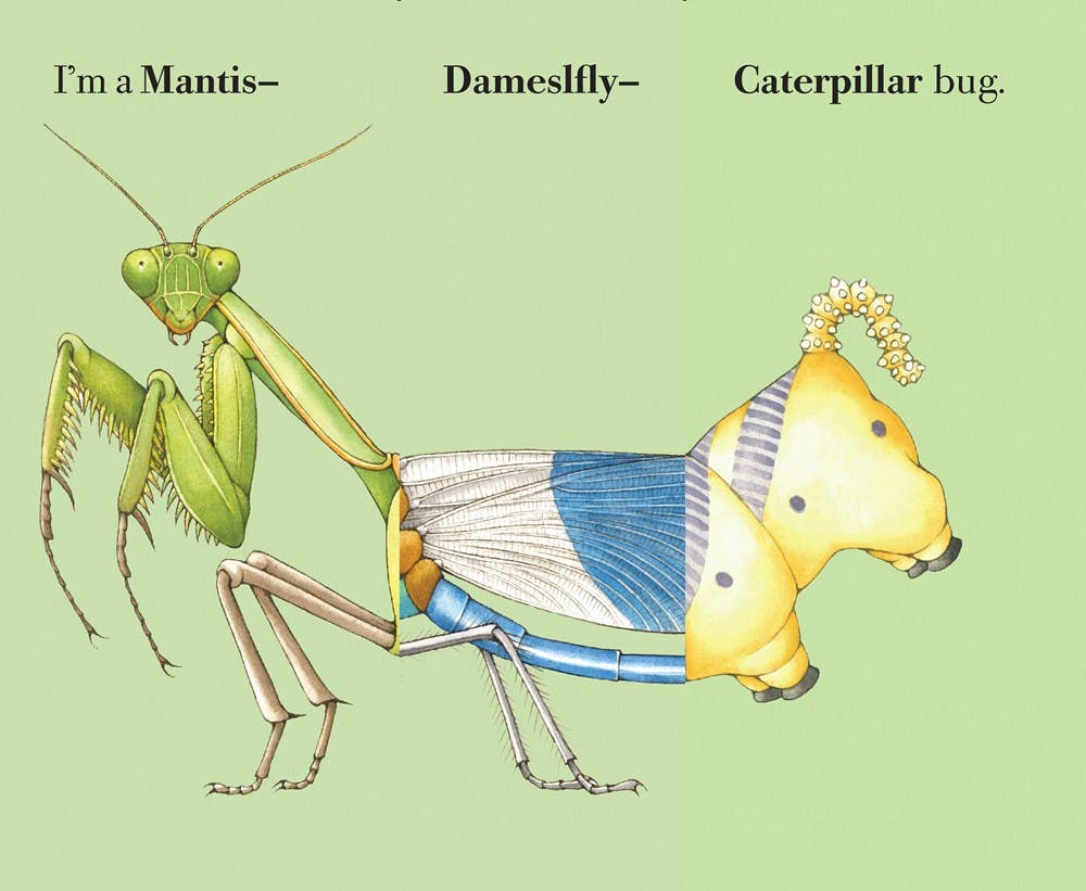 W. W. Norton- Build-A-Bug: Board Book