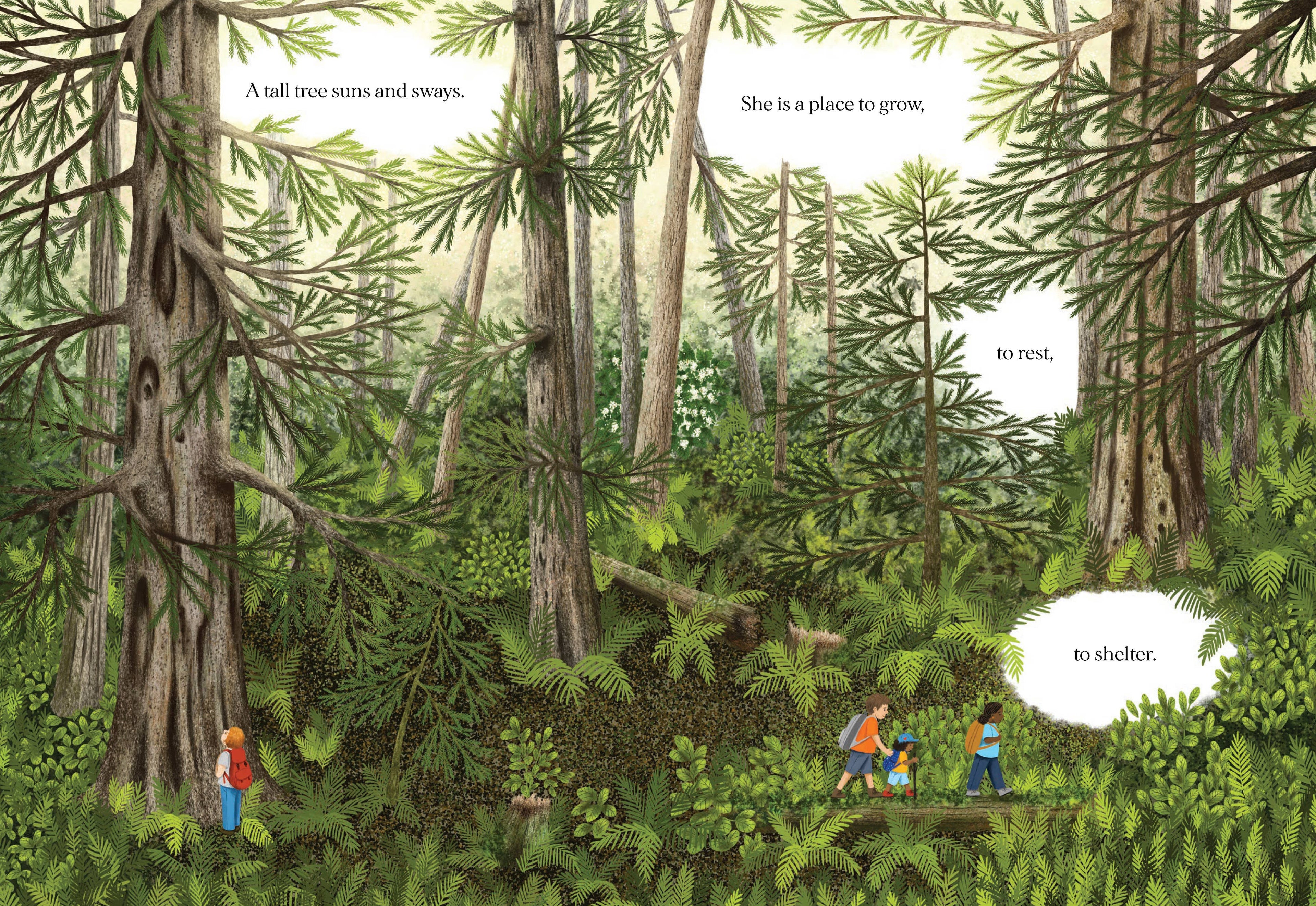 Chronicle Books- When a Tree Falls