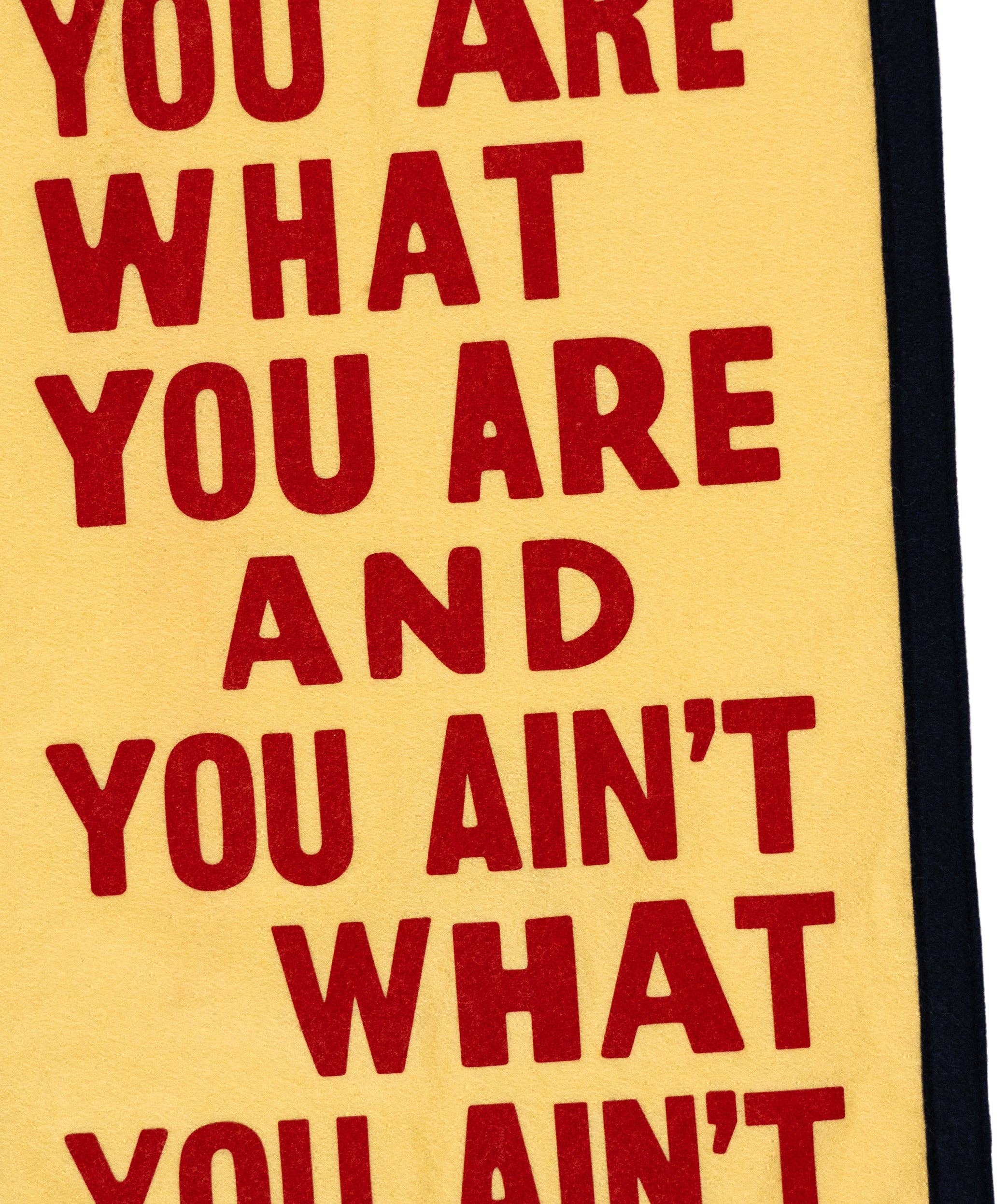 Oxford Pennant- You Are What You Are Camp Flag • John Prine x Oxford Pennant