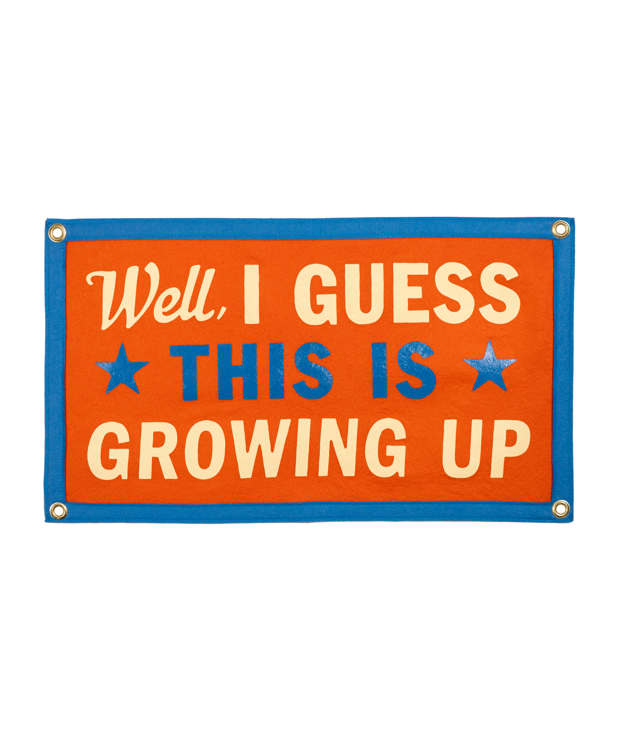 Oxford Pennant- Well, I Guess This Is Growing Up Camp Flag • Blink-182 x Oxford Pennant