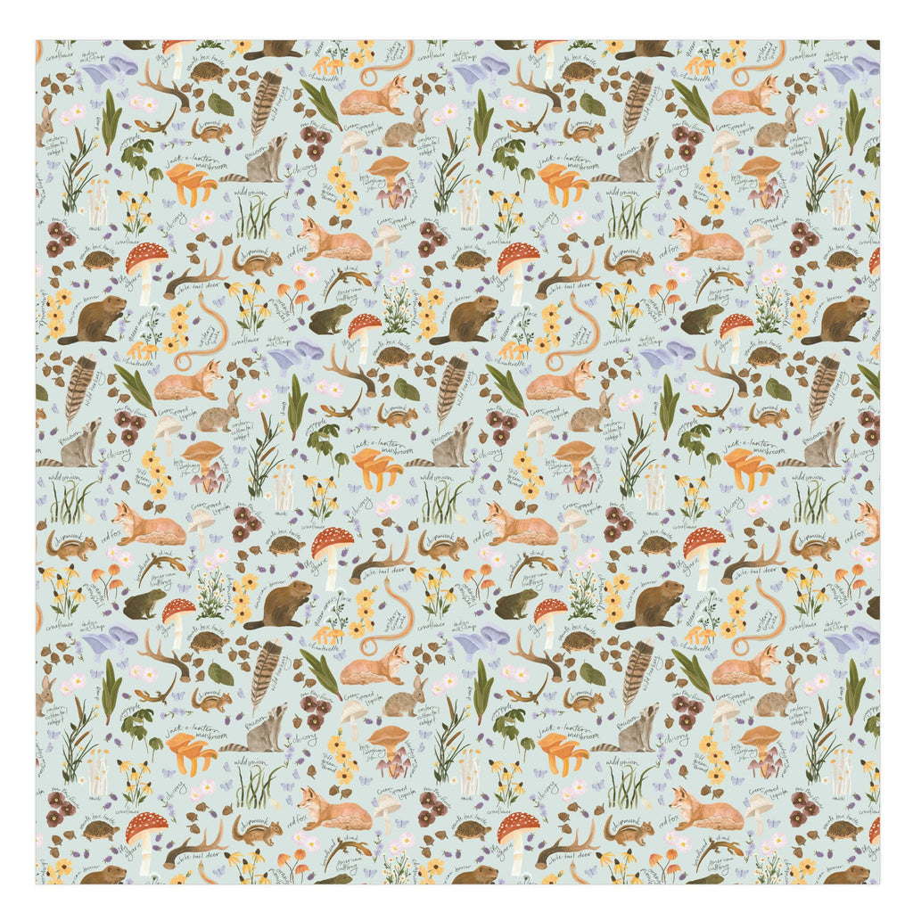 1Canoe2- Flora & Fauna Baby Swaddle