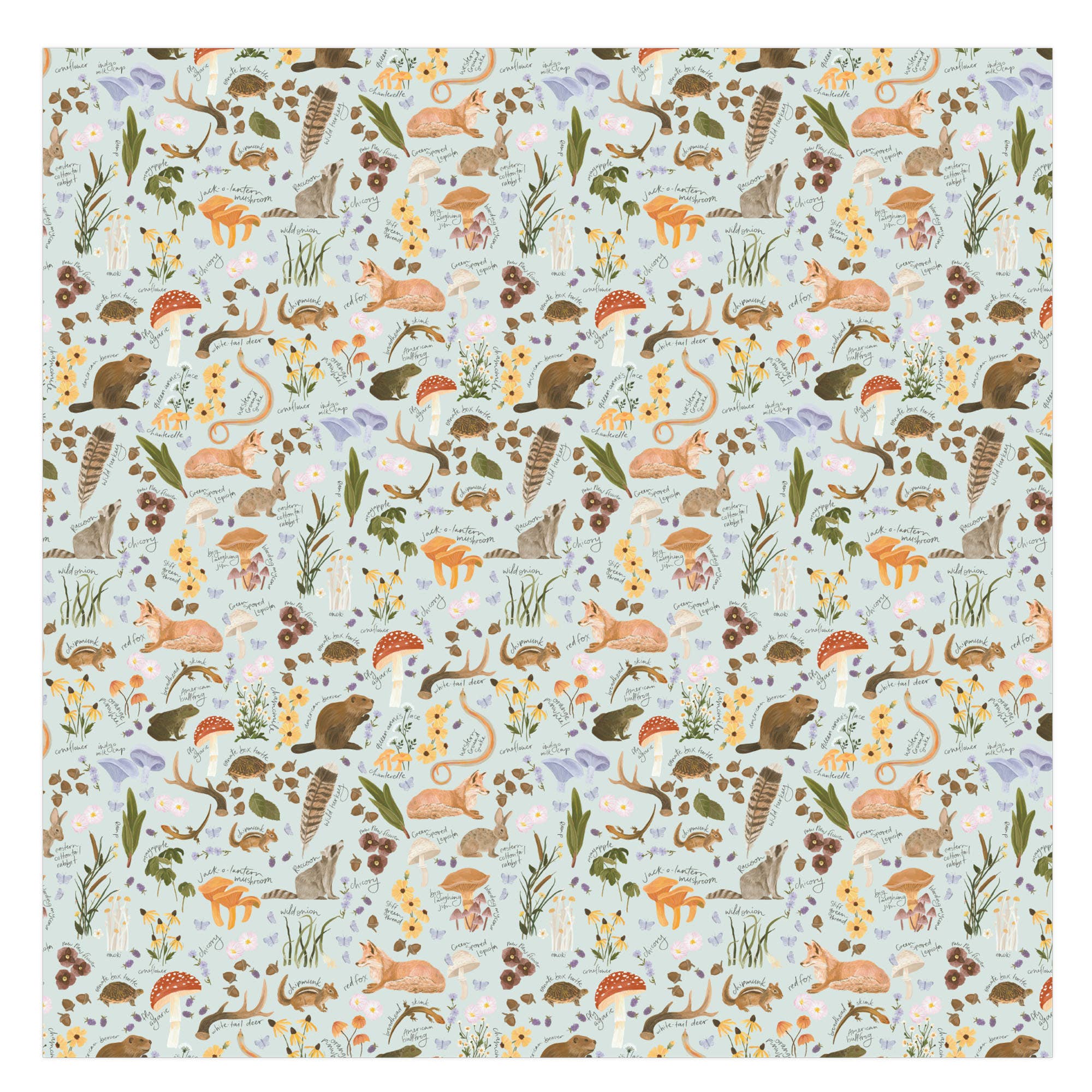 1Canoe2- Flora & Fauna Baby Swaddle