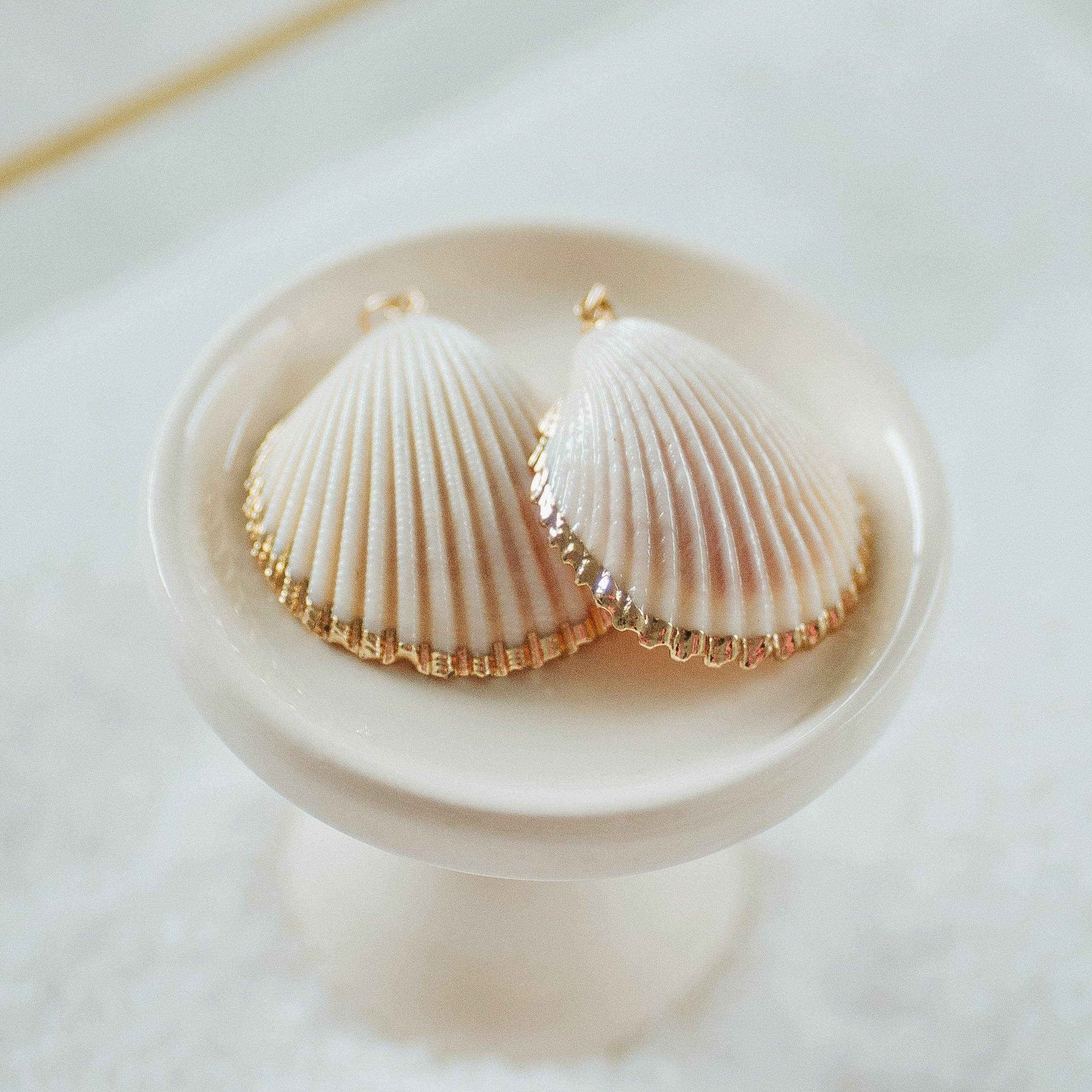 Reva Grey- Seashell Charms: Small White