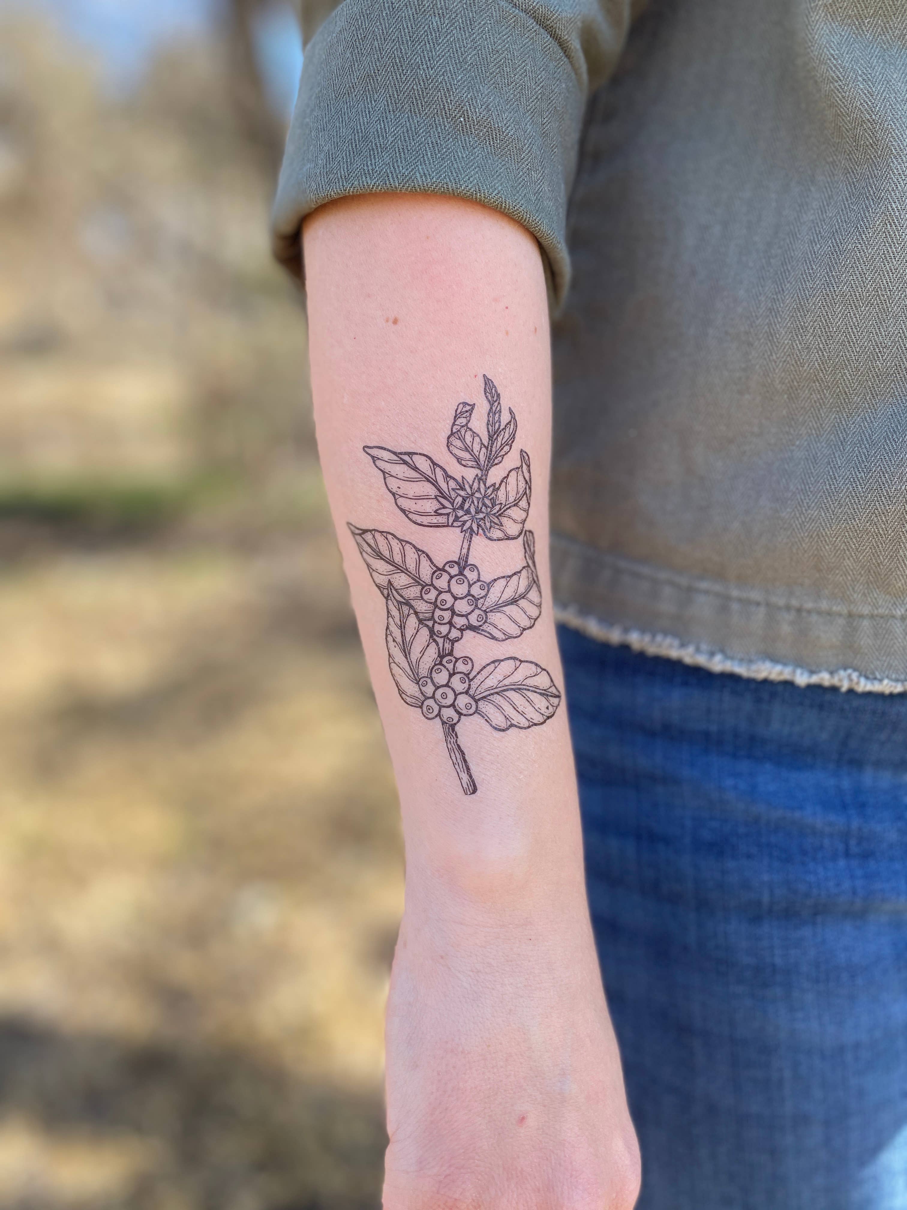 NatureTats- Coffee Plant Temporary Tattoo