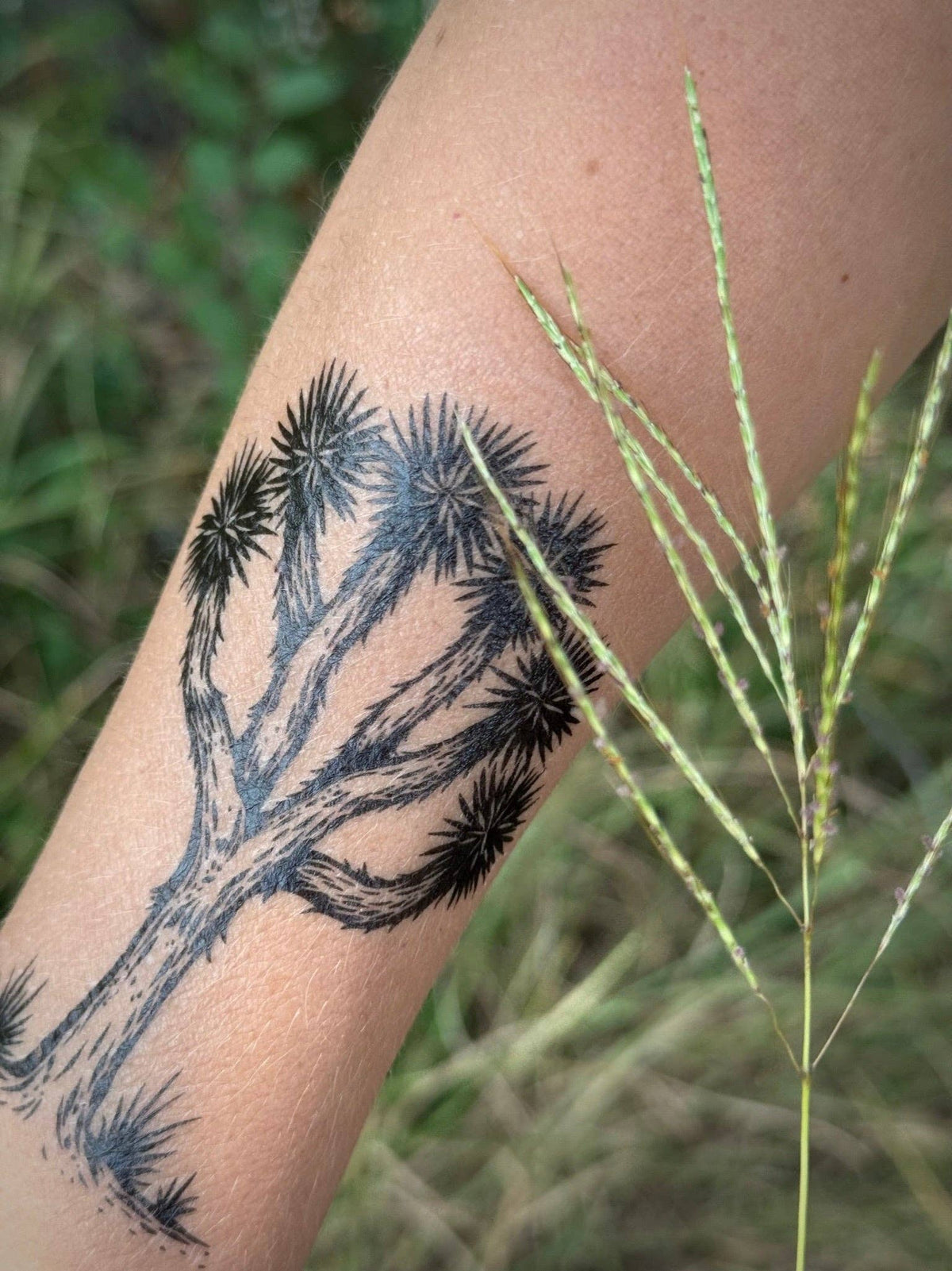 NatureTats- Joshua Tree Temporary Tattoo Sheet