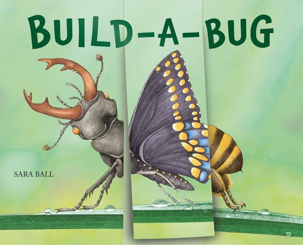W. W. Norton- Build-A-Bug: Board Book