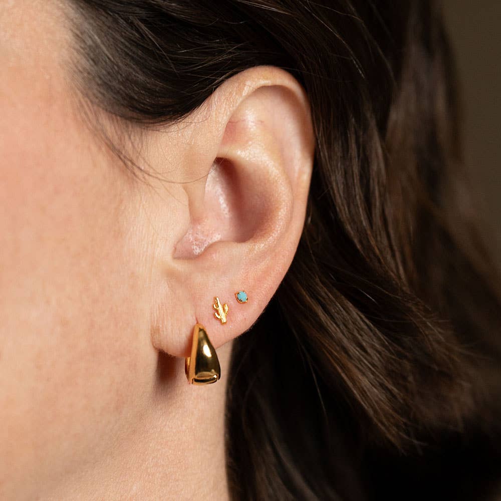Amano Studio- Cactus + Turquoise Stud Earring Set