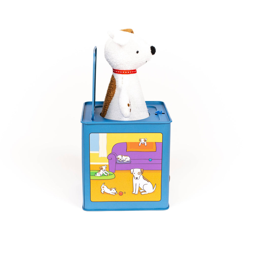 Jack Rabbit Creations- Dog Jack in the Box