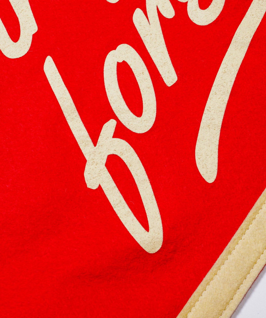 Oxford Pennant- I'll Be Loving You Forever Camp Flag
