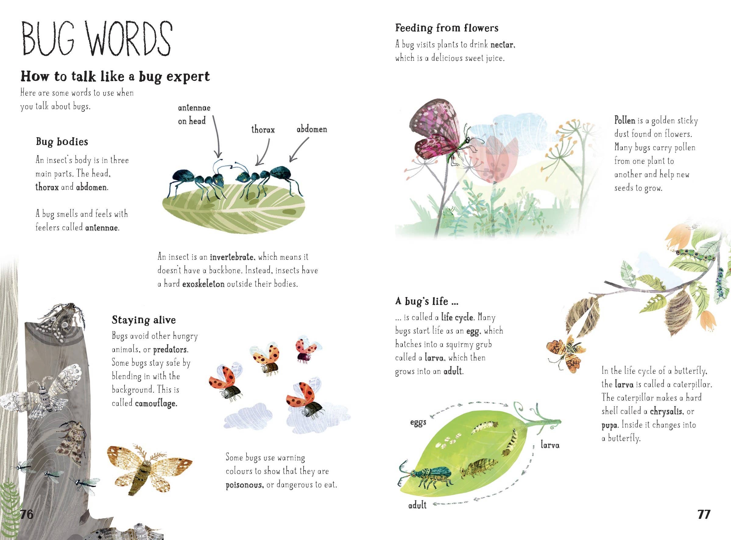 W. W. Norton- The Big Book of Bugs: 10th Anniversary Edition