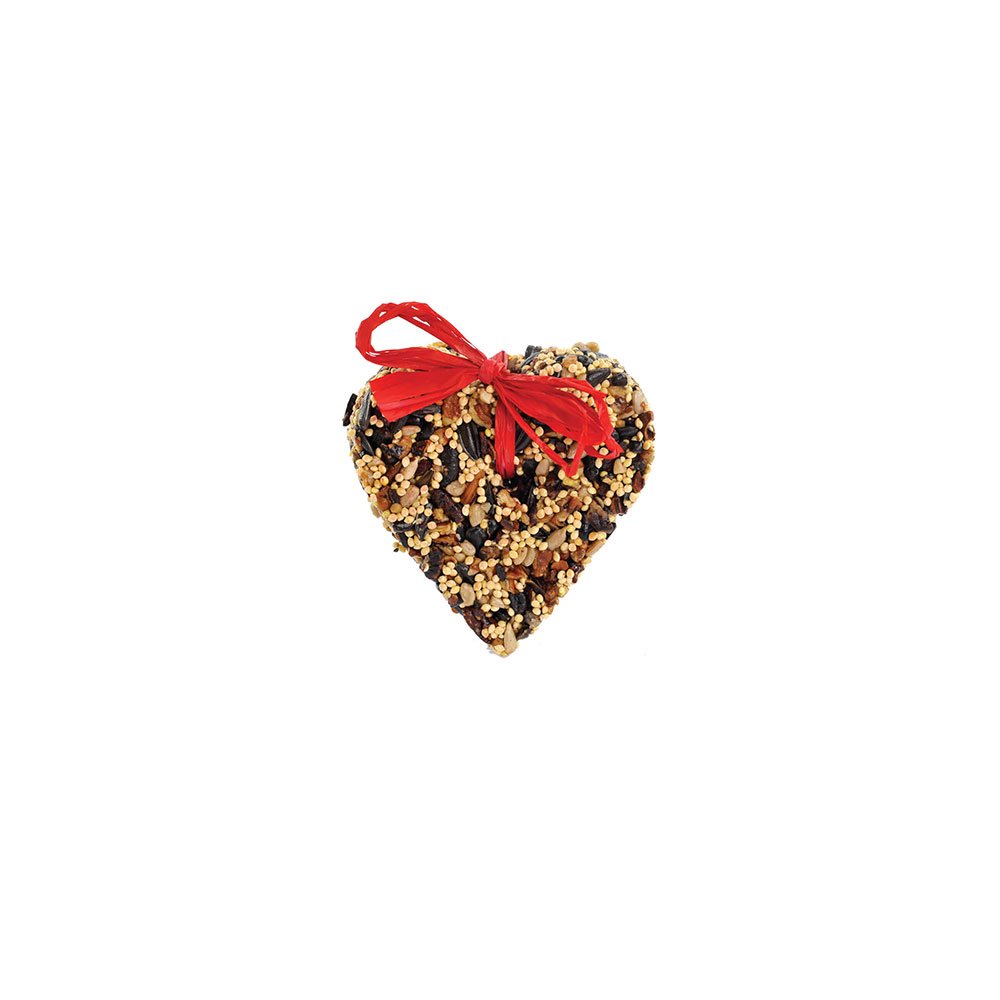Mr. Bird- Little Heart Birdfeeder