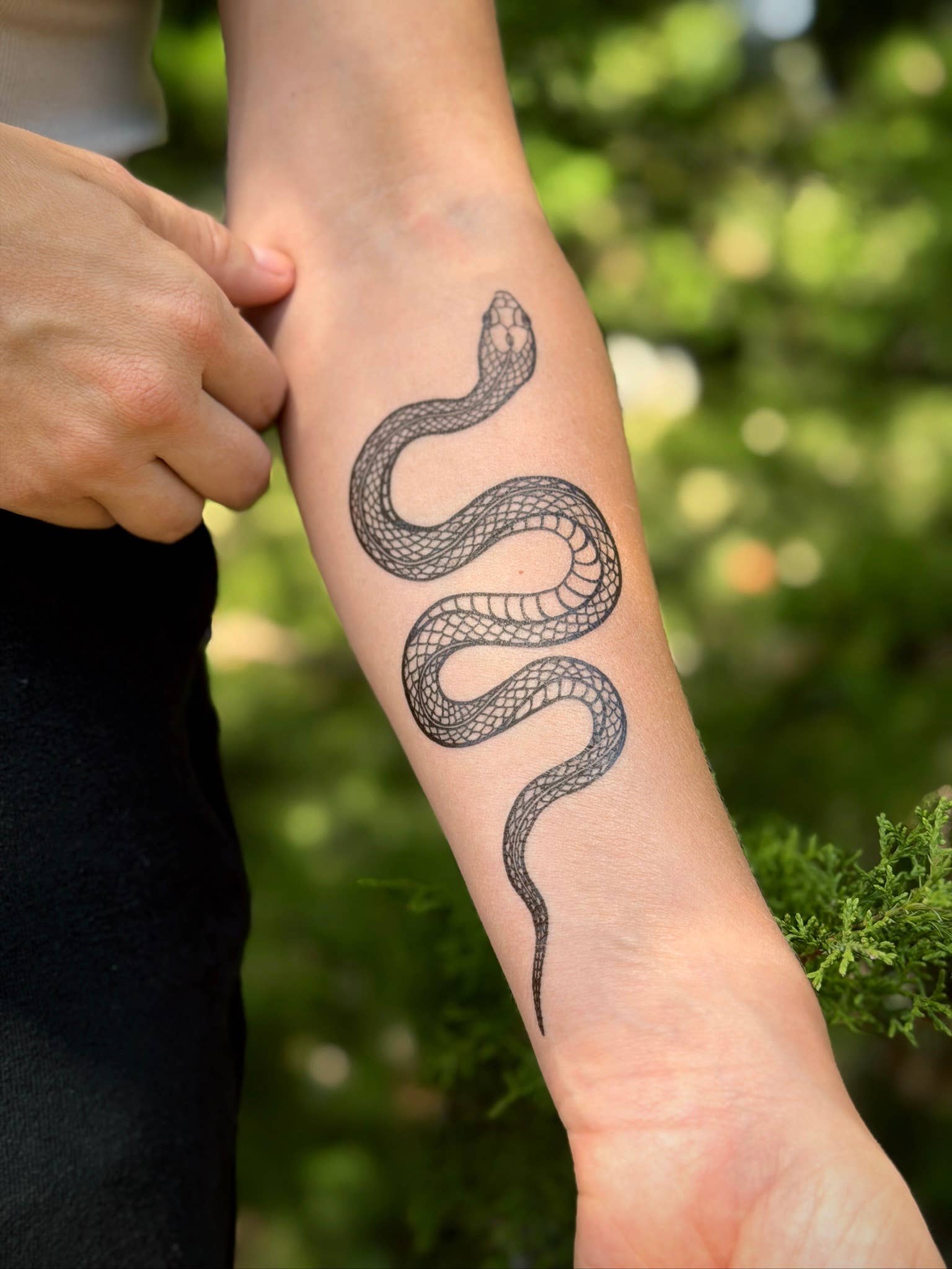 NatureTats- Garden Snake Temporary Tattoo