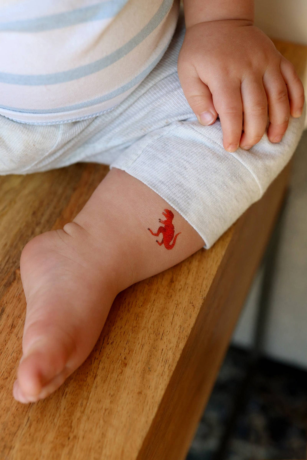 Saint & Company- Dinosaurs Temporary Tattoos